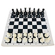 شطرنج ذهن برتر مدل فدراسیونی کیفی Chess