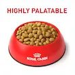 غذای خشک گربه رویال کنین یورینری اس او 1.5 کیلوگرم royal canin urinary s.o 