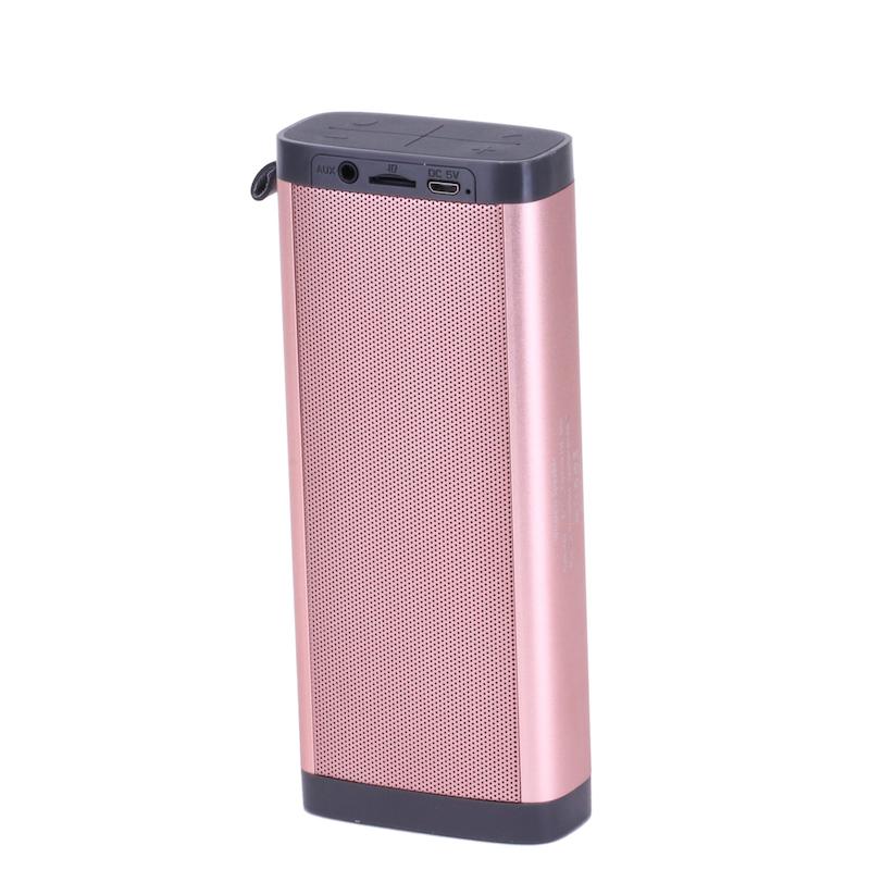 اسپیکر تبلیغاتی S250