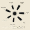 قهوه، تالیکس، اتیوپی، گوجی، هامبلا، اتیوپی گوجی هامبلا، عربیکا