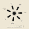 80/20 تالی فور