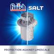 نمک ماشین ظرفشویی فینیش Finish مدل Special salt وزن 1.2 کیلوگرم