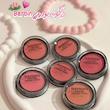 رژگونه و سایه چشم پودری باربین Barbin Powder Blush & Eyeshadow