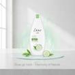 شامپو بدن داو Dove مدل خیار و چای سبز Dove Cucumber & Green Tea Body Wash