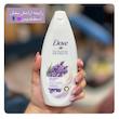 شامپو بدن داو Dove مدل اسطخدوس و رزماری Dove Lavender Oil & Rosemary Body Wash