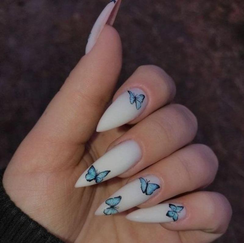 طرح پروانه ابی003