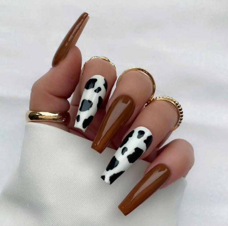 طرح گاوی قهوه ای03