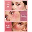 پالت رژگونه 6 تایی شیگلم  Blushing Bouquet