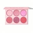 پالت رژگونه 6 تایی شیگلم  Blushing Bouquet