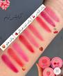 رژ و رژگونه طبقاتی طرح شیگلم