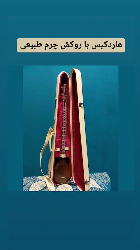 هاردکیس سه تار شمس چرم وارداتی