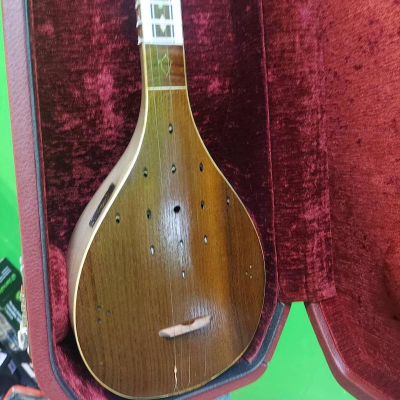 هاردکیس سه تار محمدی هاردکیس ساز
