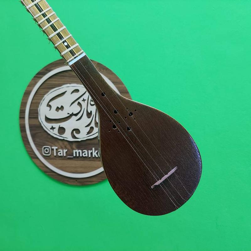 سه تار مسعود  الگو هاشمی 