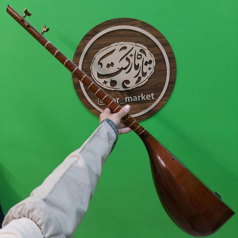 تنبور باربد دومهر