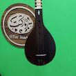 سه تار شفیق الگو هاشمی 
