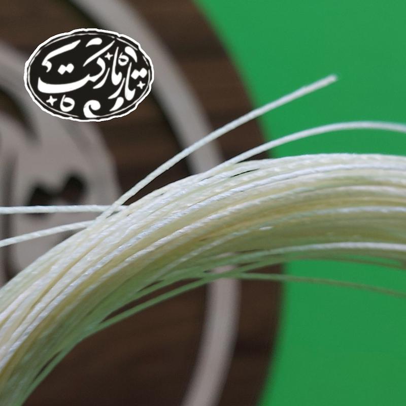 پرده تار مجید ( ویژه استاد )