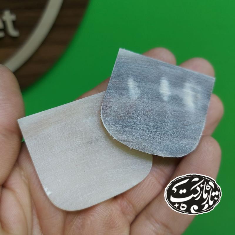 سیمگیر تار شاخ