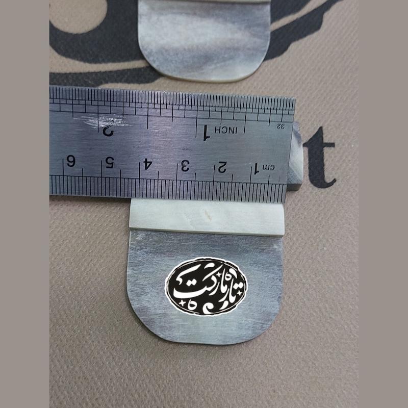 سیمگیر تار شاخ