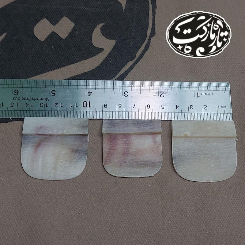 سیمگیر تار شاخ