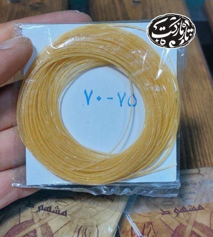 پرده تار مشهود 