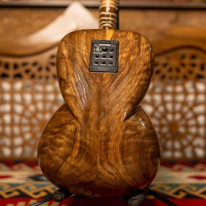 سیستم پیکاب تار الکتریک