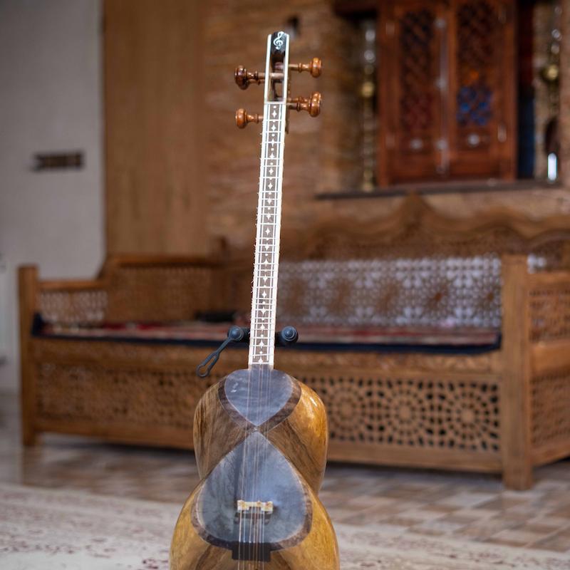 تار ممتاز کلکسیونی تمام‌گردو با دسته معرق | تار شاهین