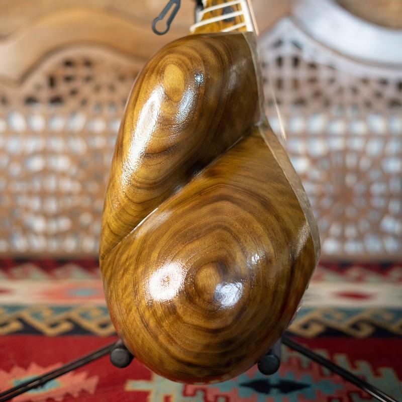 نمای نزدیک کاسه تار طاووسی