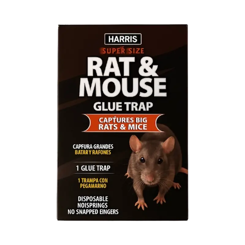 چسب موش کتابی