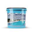 رنگ استخری نانو (10کیلویی)