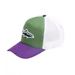  کلاه کپ patagonia