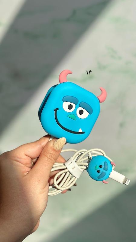 محافظ سری شارژر 20 وات