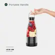  شیکر و مخلوط‌کن شارژی Green Lion مدل Mixmate