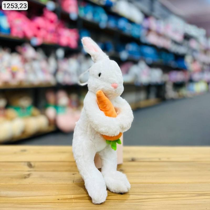 خرگوش ایستاده هویج بدست