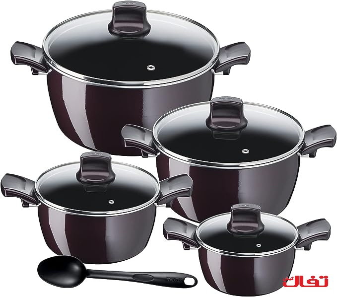 سرویس ۹ پارچه تفال مدل رزیست اینتنس resist intense D52291(ساخت فرانسه)