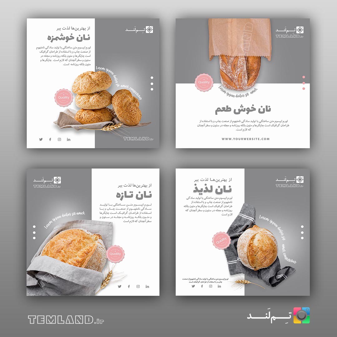 PC103 | مجموعه قالب آماده معرفی غذا