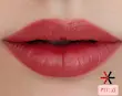 6384cedc59b74912c18c9e6c1d42f34e.webp