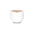 Nespresso Barista Dessert Bowl برای سرو دسر – TennisStar