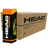 کارتن توپ تنیس هد ماراتون | HEAD Marathon Pressureless 3B-6DZ