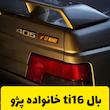 بال اسپرت پژو طرح T16