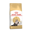 غذای خشک گربه پرشین ادالت رویال کنین Royal Canin Persian Adult