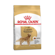 غذای خشک سگ رویال کنین گلدن رتریور ادالت Royal Canin Golden Retriever Adult