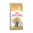 غذای خشک گربه بریتیش ادالت رویال کنین Royal Canin British Adult