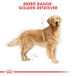 غذای خشک سگ رویال کنین گلدن رتریور ادالت Royal Canin Golden Retriever Adult