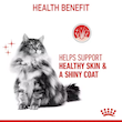 غذای خشک گربه Royal Canin Hair & Skin