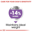غذای خشک سگ عقیم نژاد کوچک رویال کنین Royal Canin Mini Sterilised