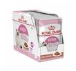 پوچ بچه گربه رویال کنین Royal Canin Kitten Gravy