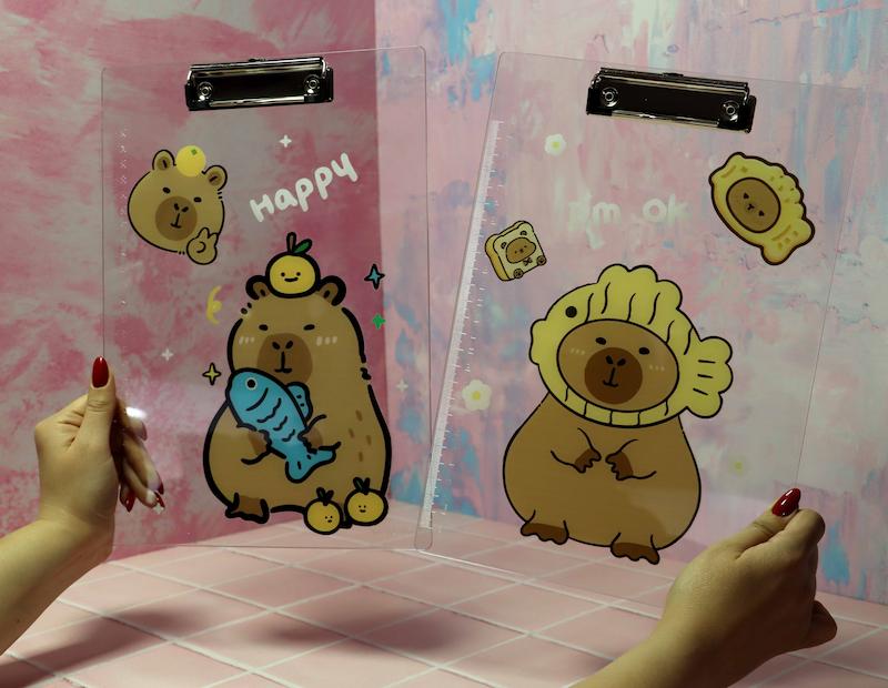 تخته شاسی شفاف کیوت A4