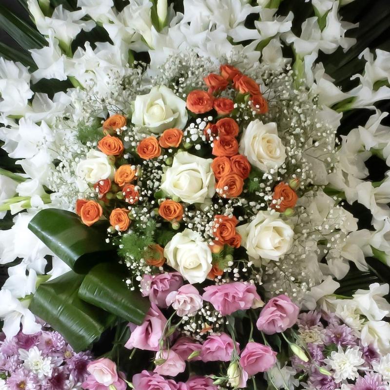 تاج گل T11