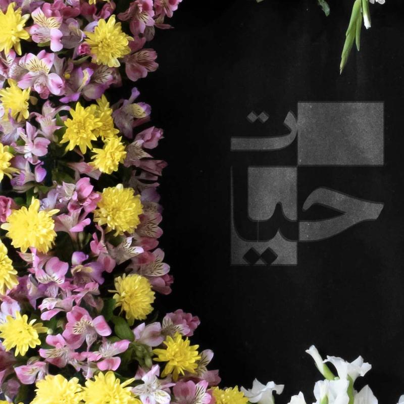 تاج گل T10