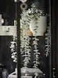 گلدان  مصنوعی اکالیپتوس ایکیا مدل FEJKA کد 904.668.10
